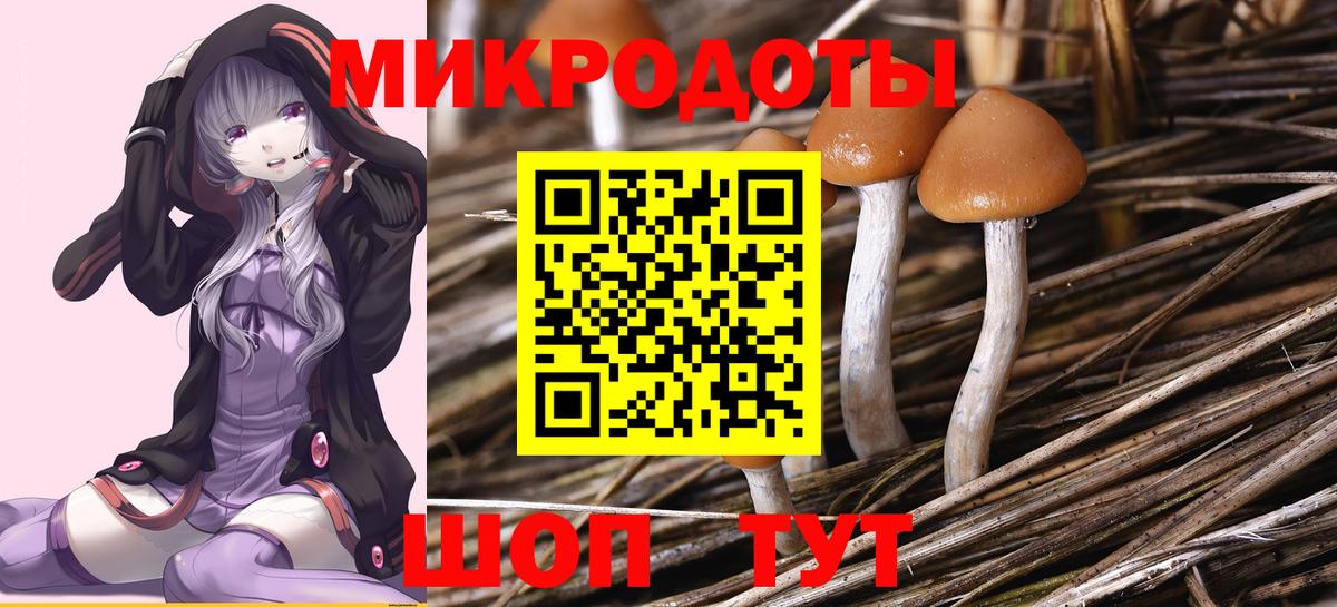 Галлюциногенные грибы мицелий Назарово