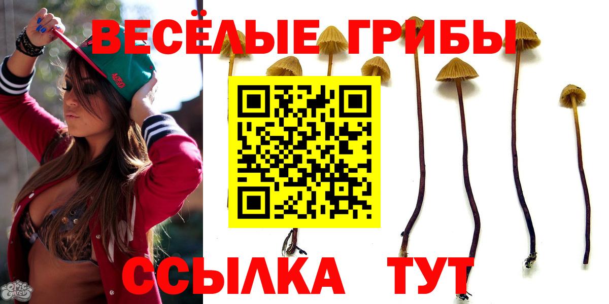 Галлюциногенные грибы мухоморы  Вход с VPN  Псилоцибиновые грибы Cubensis  Назарово 
